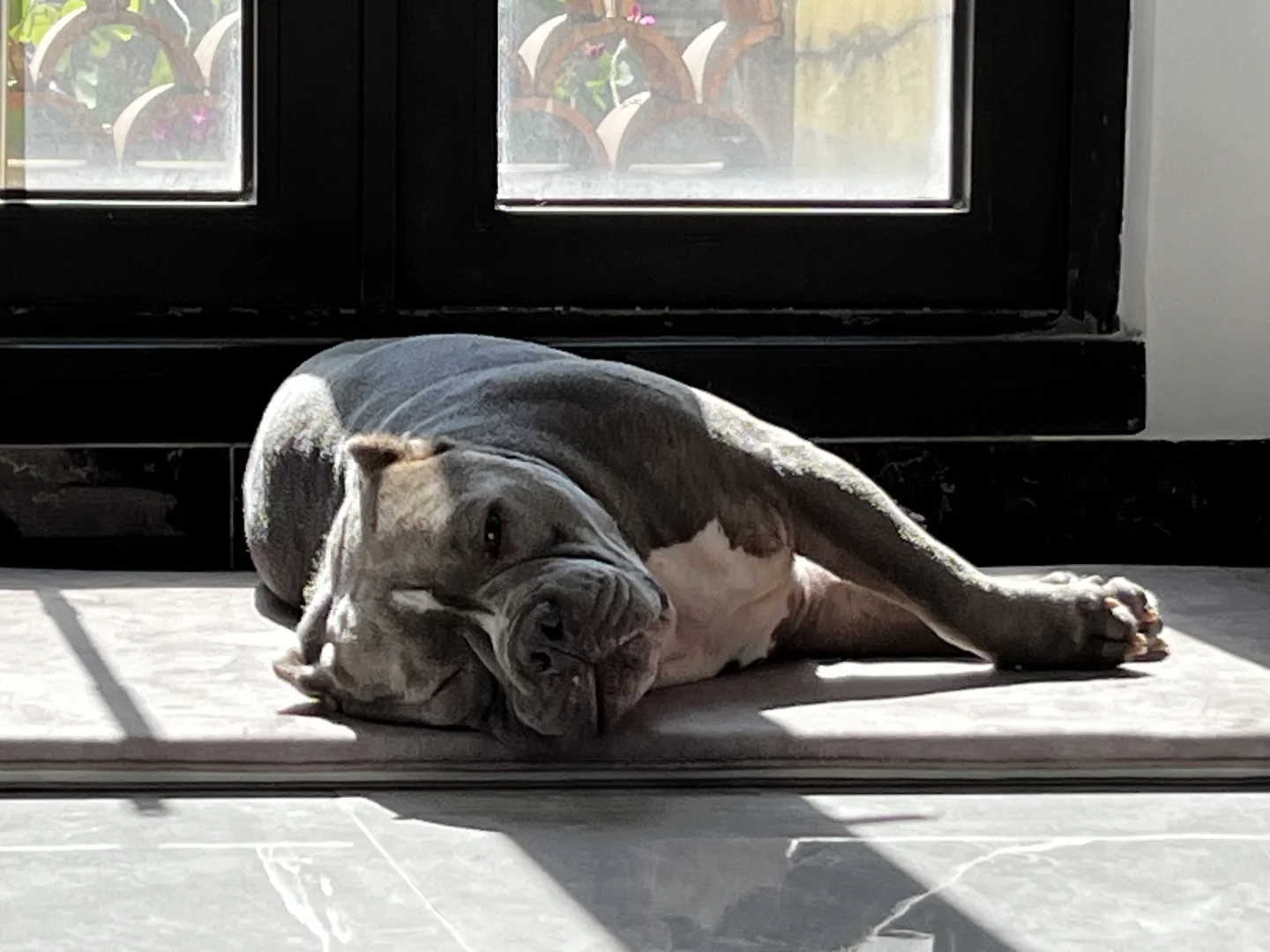 有太阳🌞就有我家小肥仔