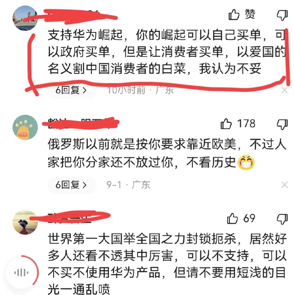 “支持华为崛起，你的崛起可以自己买单，可以政府买单，但是让消费者买单，以爱国的名