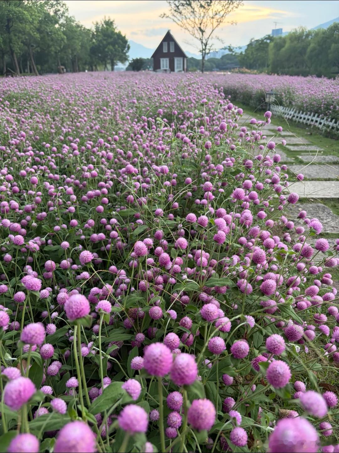 临海 早晨！灵湖，小屋！ 