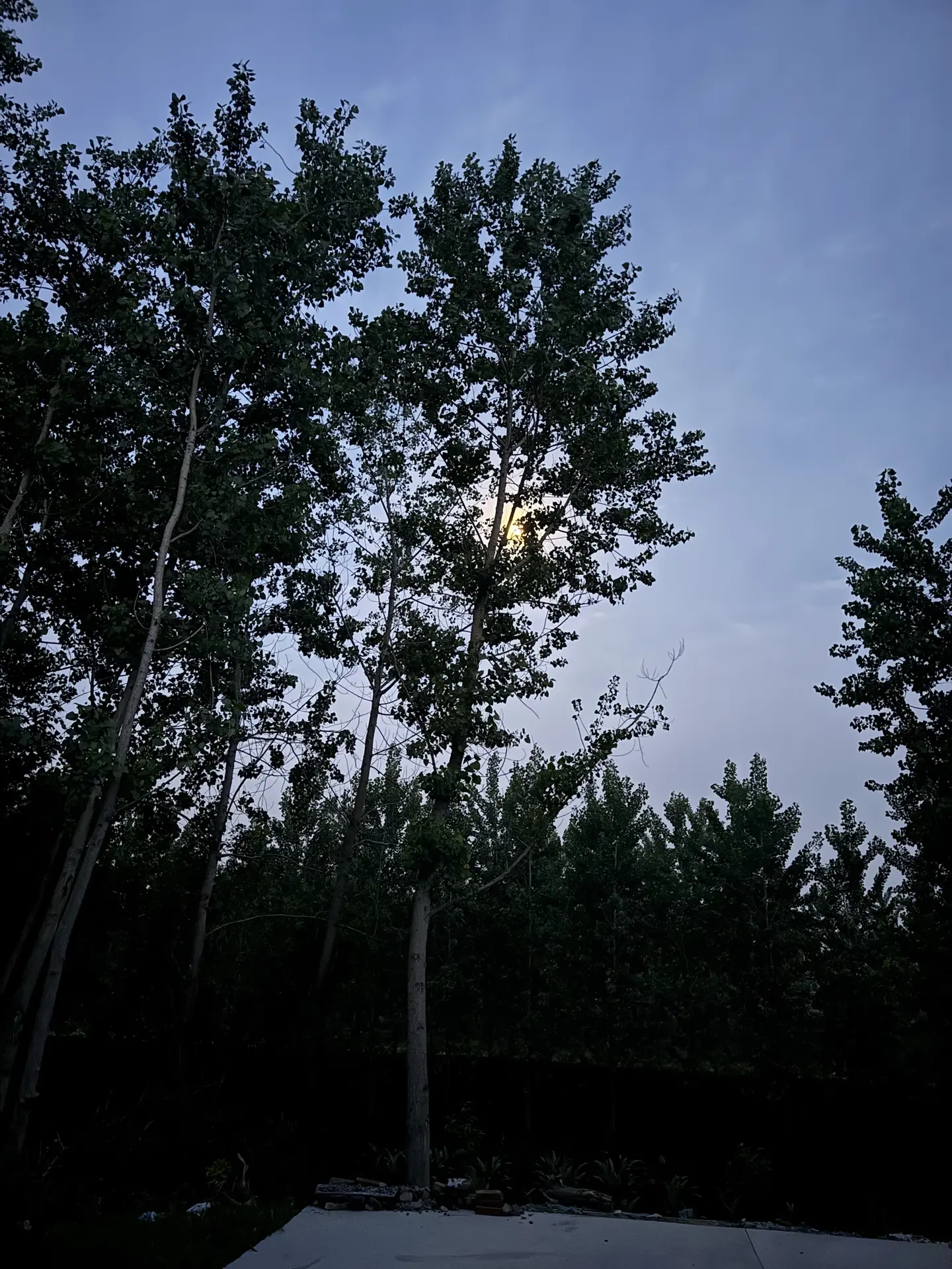 配乐配到了这首曲子，不知道有多少人能听出是哪部电视剧的音乐🎵月升月落...