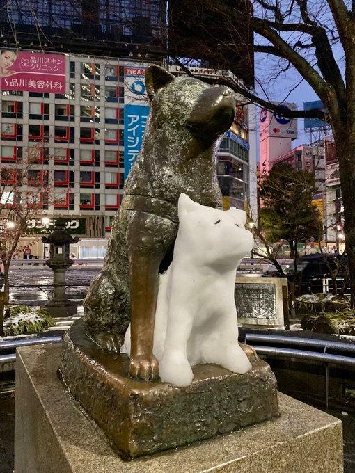 东京最晚一场大雪过后，涩谷八公多出了一只小八公[doge] ​​​