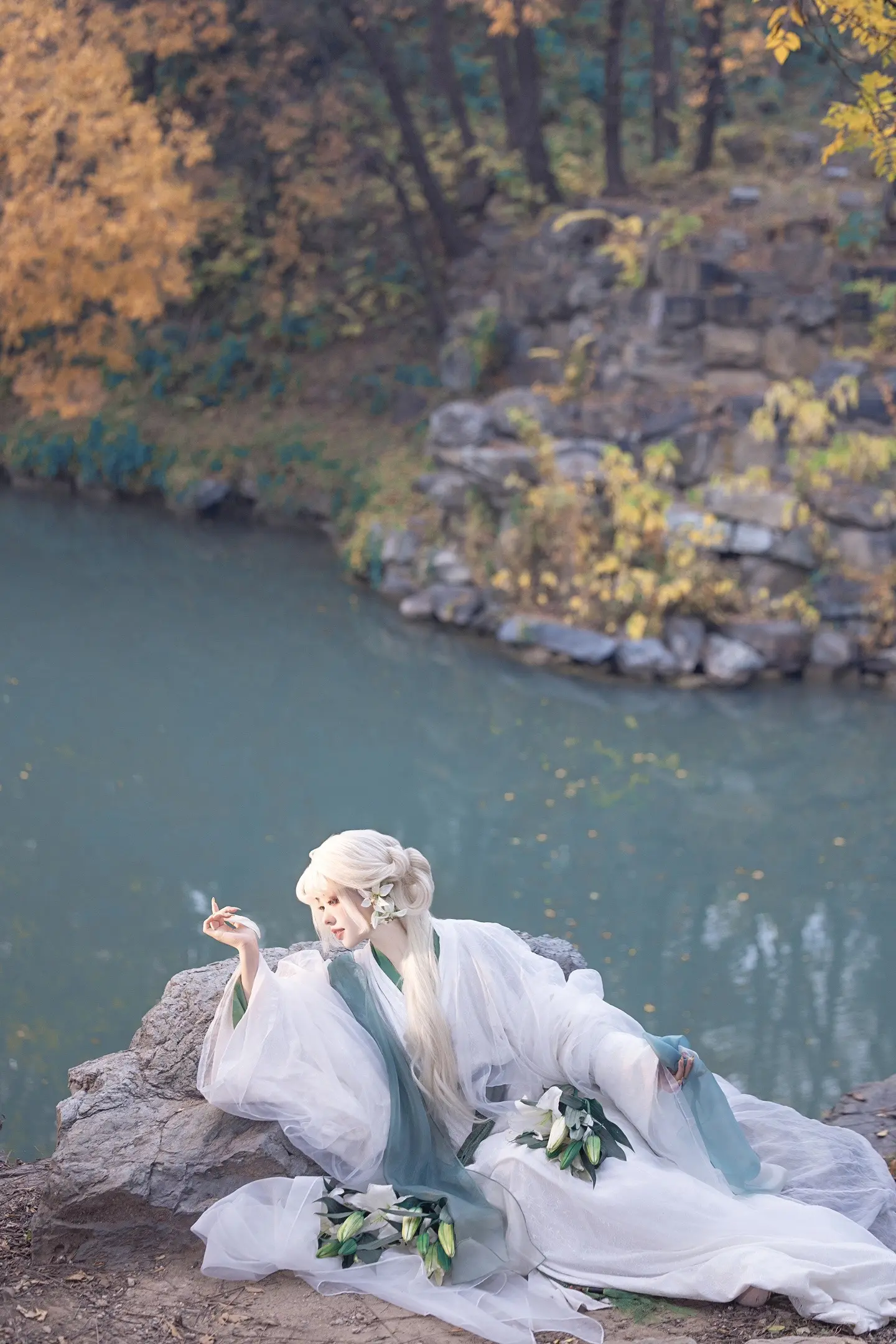 “你可听闻、百合花的寓意”