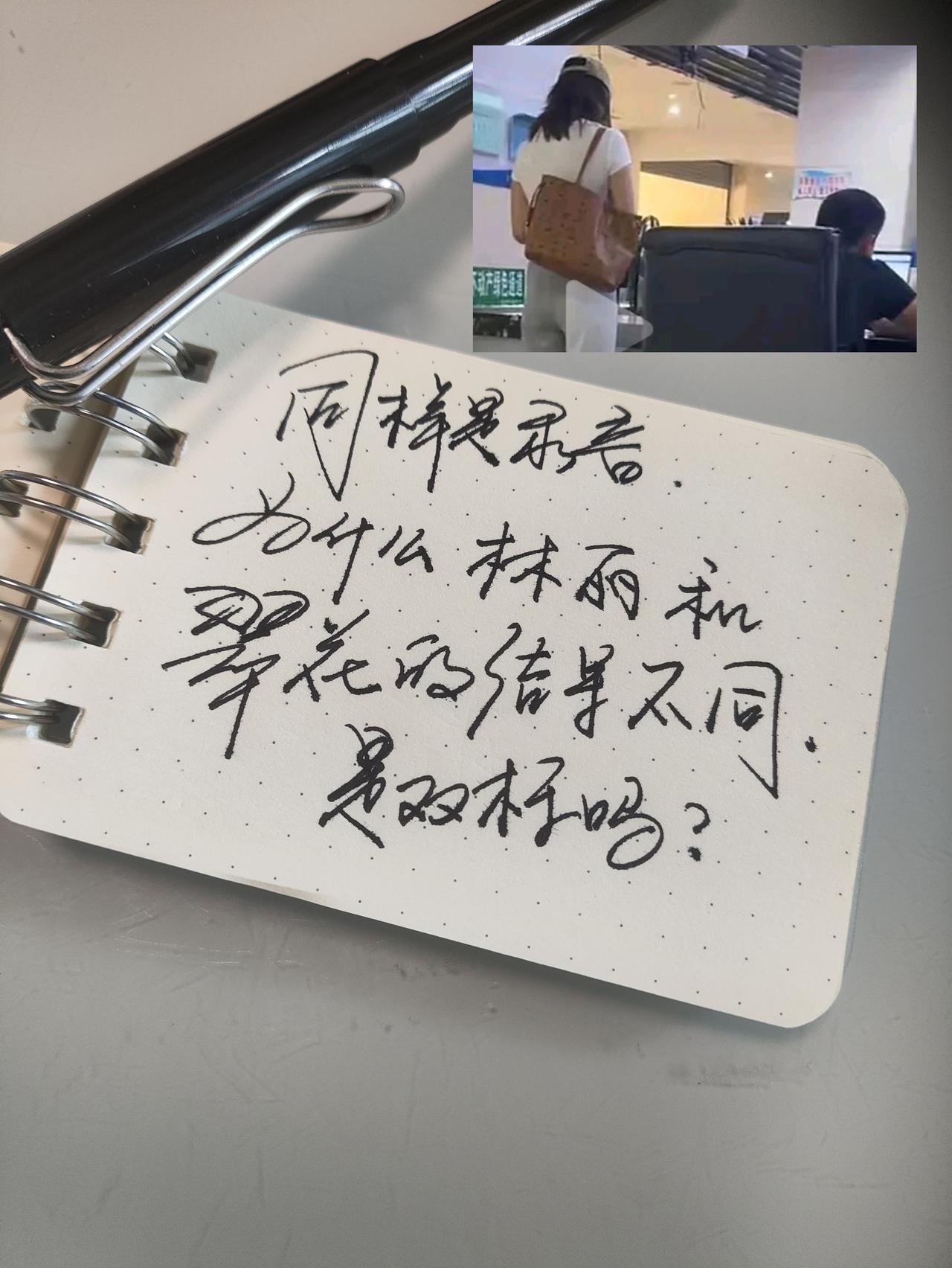 林丽 翠花