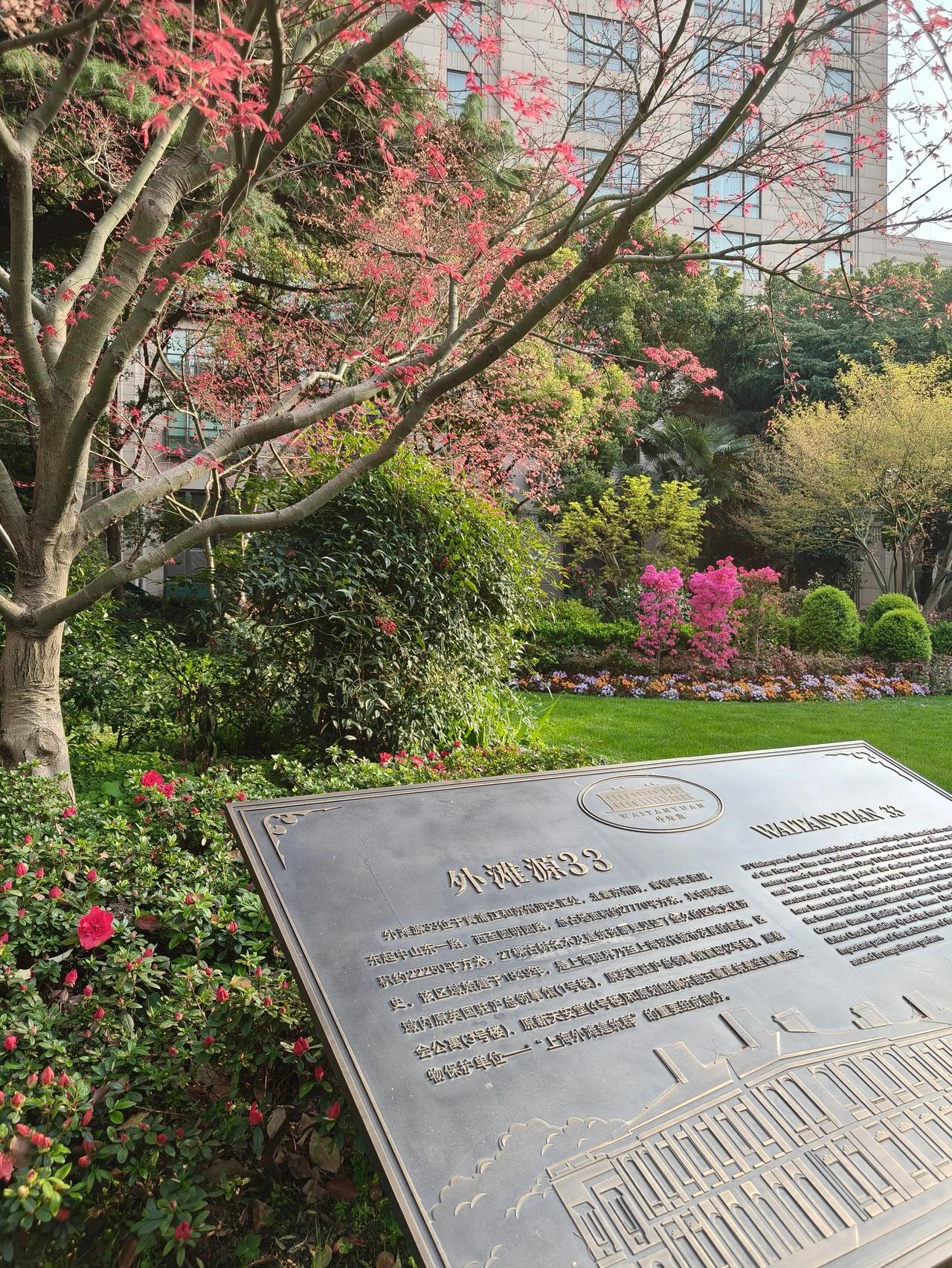 春日午后散步随手拍实景图分享！

今天终于去了趟外滩源还有圆明园路…