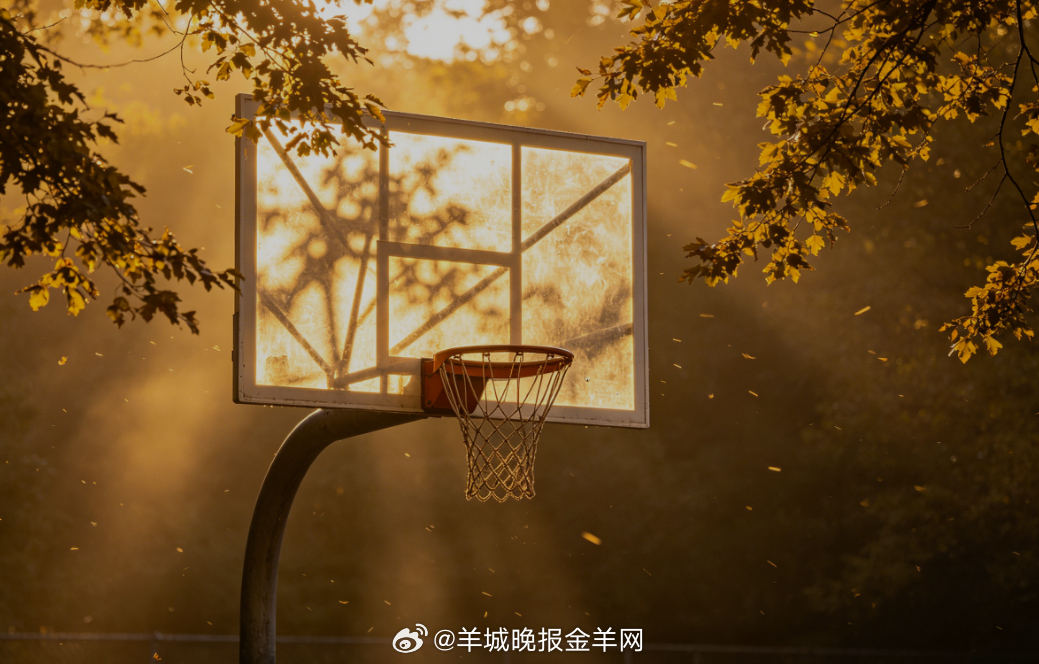#早安# 暖阳穿过枝叶，细碎光影轻轻落在篮球板上。风缓缓吹过球场，周遭安静又温柔