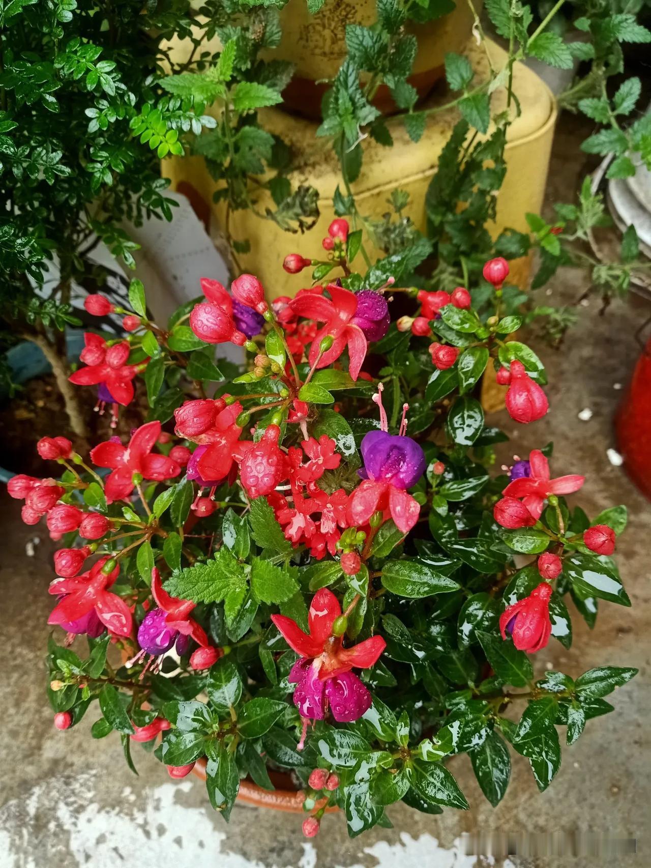 晒图笔记大赛太美了哈！[呲牙]