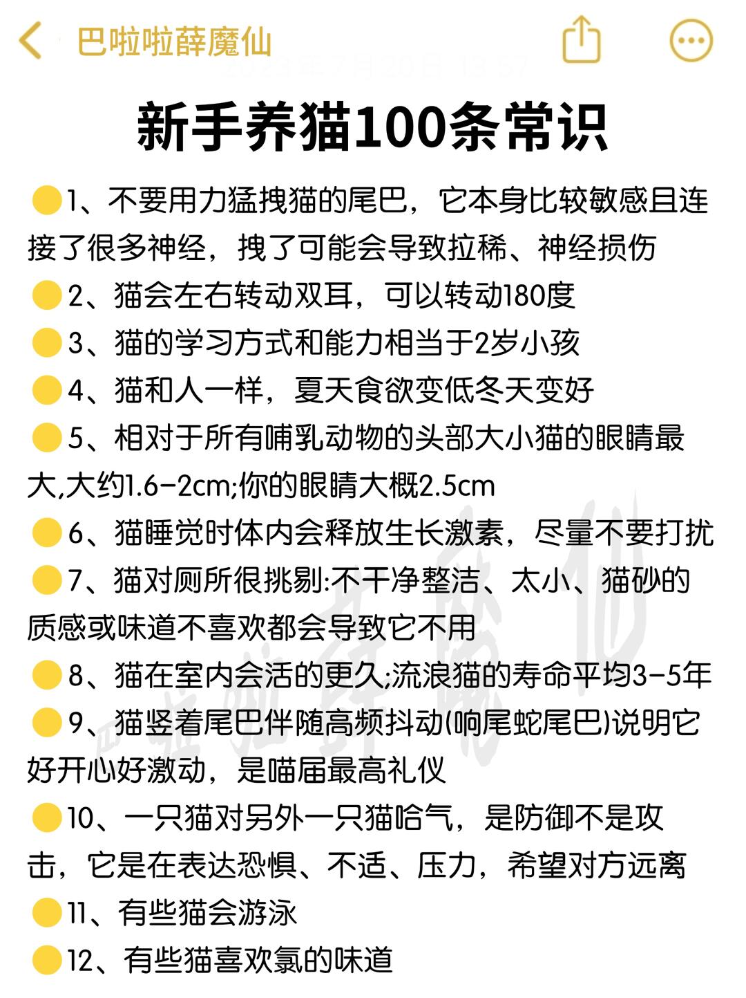 新手养猫100条常识❗️赶紧get✔️
