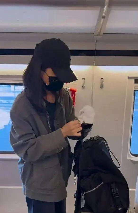 女星杨子姗是个重度洁癖之人，上个高铁后她就开始忙碌着给座位套一次性套，桌子也必须