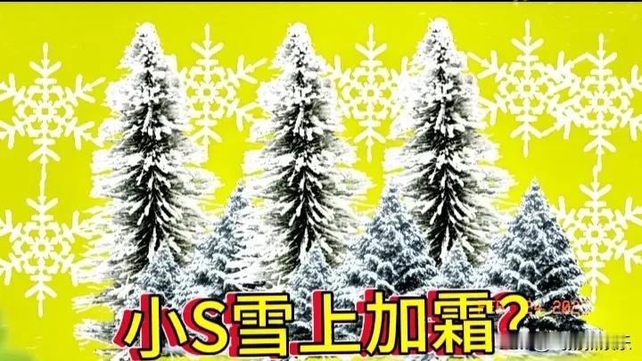 小S雪上加霜？


       人算不如天算，小S做梦也没想到，原本春风得意的