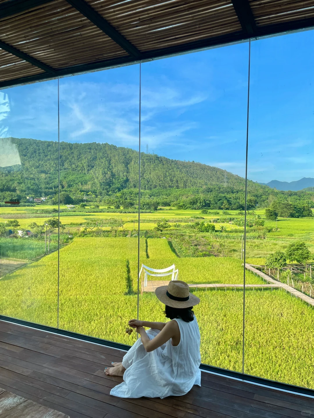 🌿深圳周边｜去山野稻田里过夏天吧