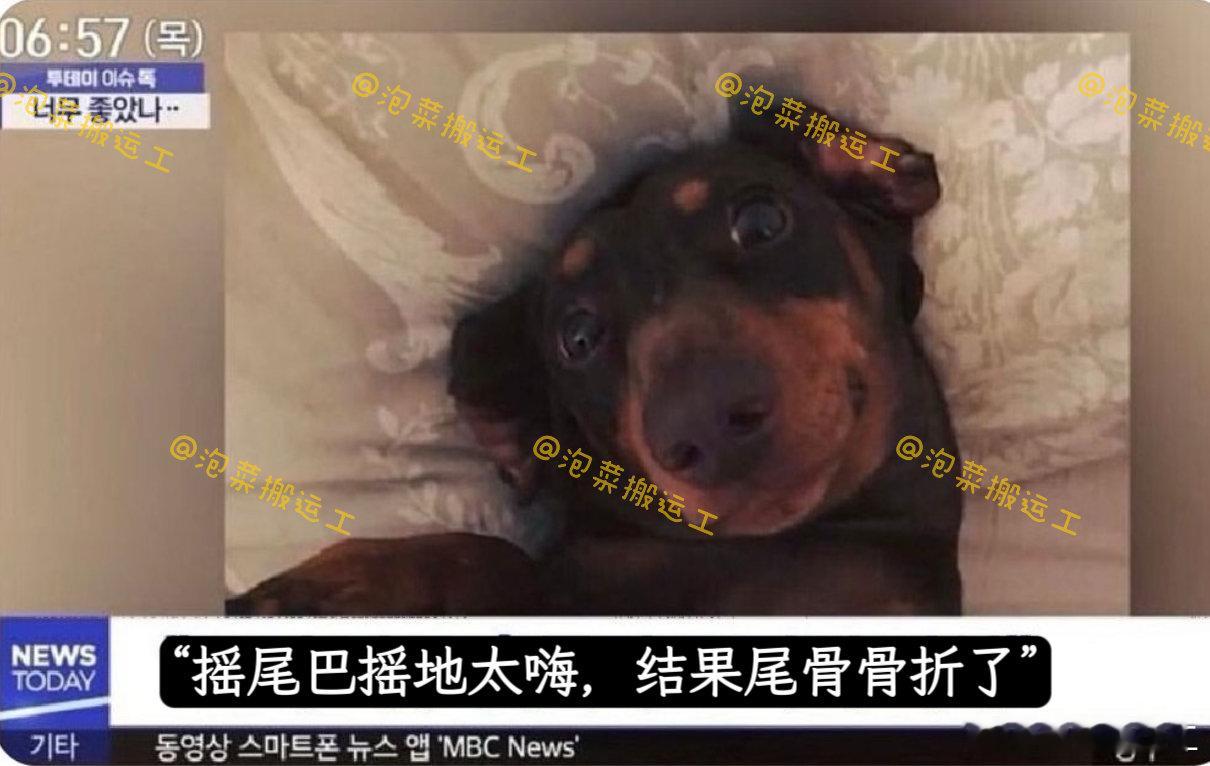 【twi.】虽然很可怜，但真的很好笑 
