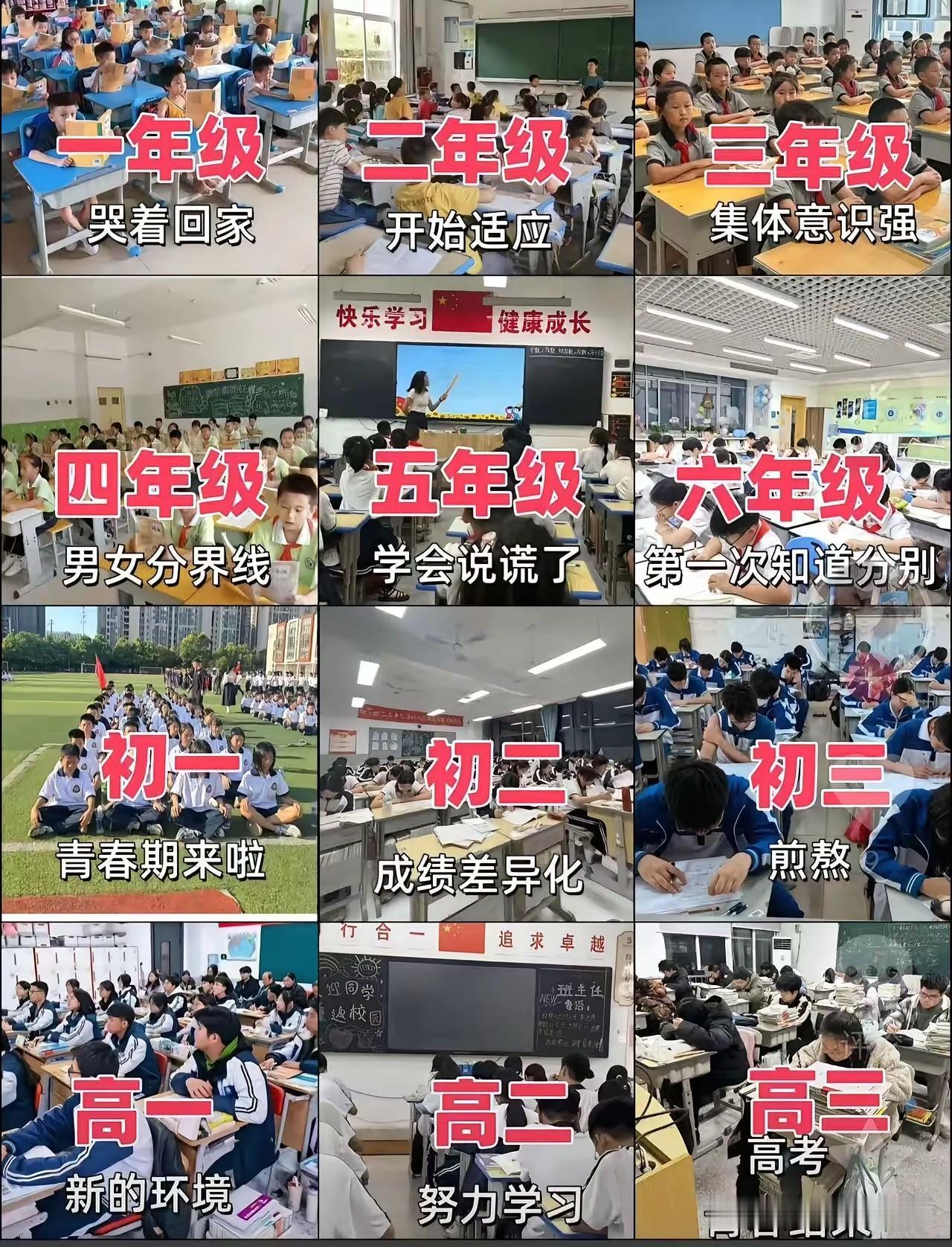 天呐！这位网友太有才了，将一年级到高三年级每一个年级的精髓都写成了一句话。比如，