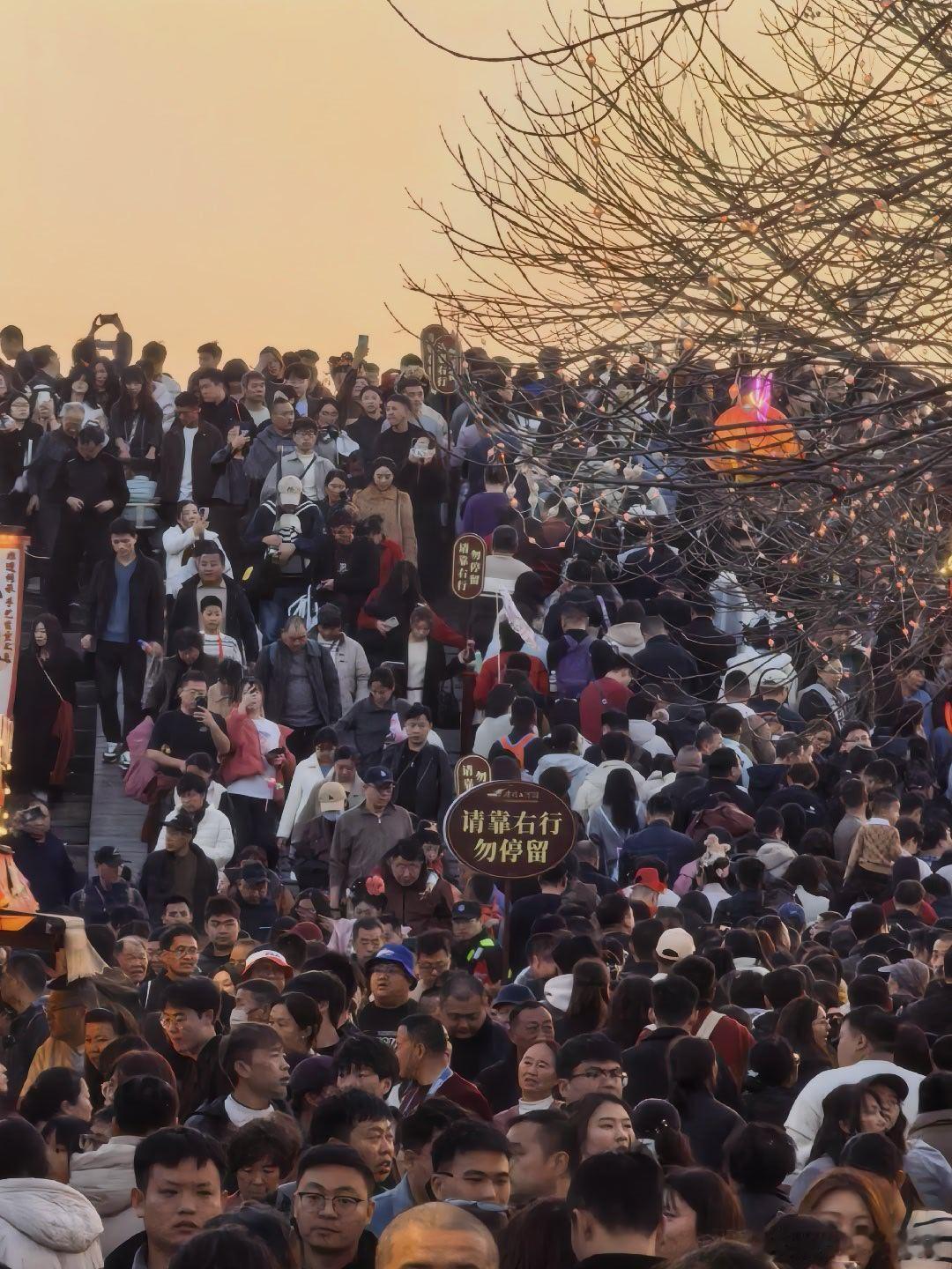 春节旅游 人从众，就是这种效果。 