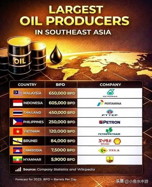 《东南亚各国的产油量》
 
~ 2025年估计日产量 桶/日（BPD）及运营公司