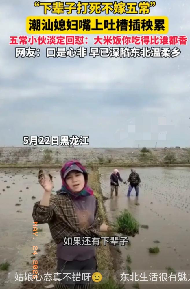 趣味刷屏全网！潮汕姑娘远嫁黑龙江五常，插秧劳累赌气吐槽下辈子绝不远嫁。
 
丈夫