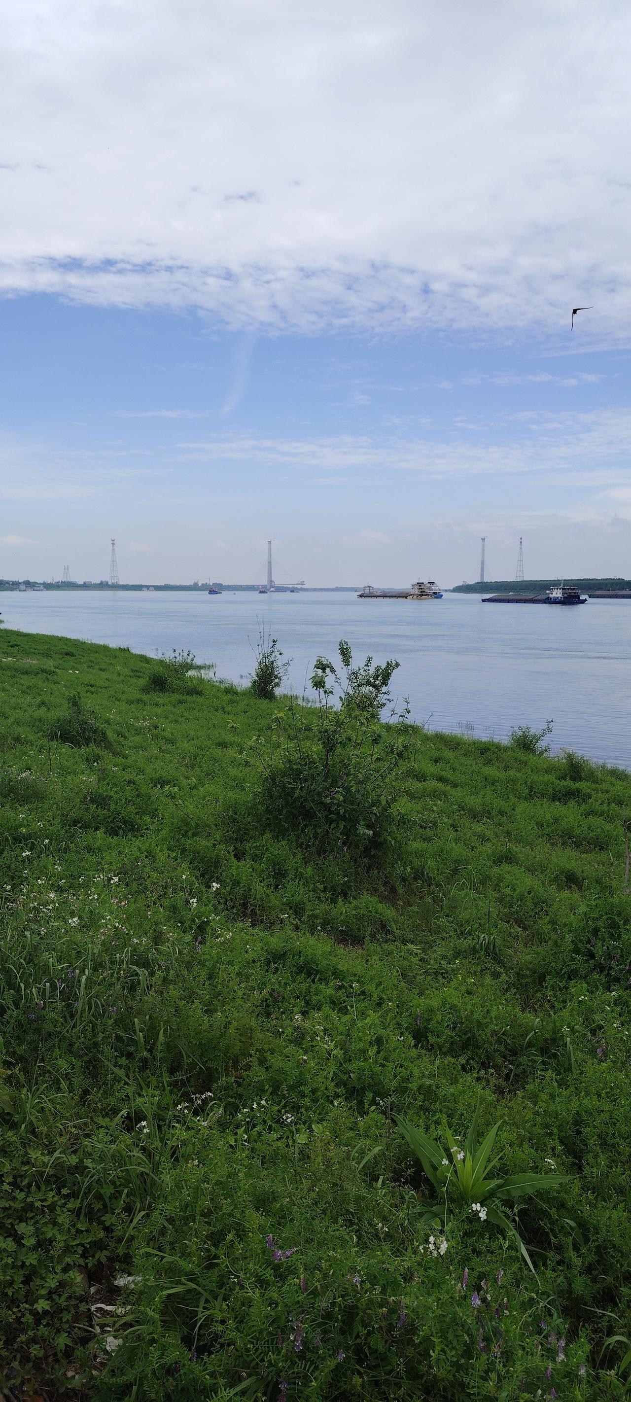 家住长江边就是好。心情不爽就去江边散步，呼吸新鲜空气，眺望远方，蓝天白云连着蓝色