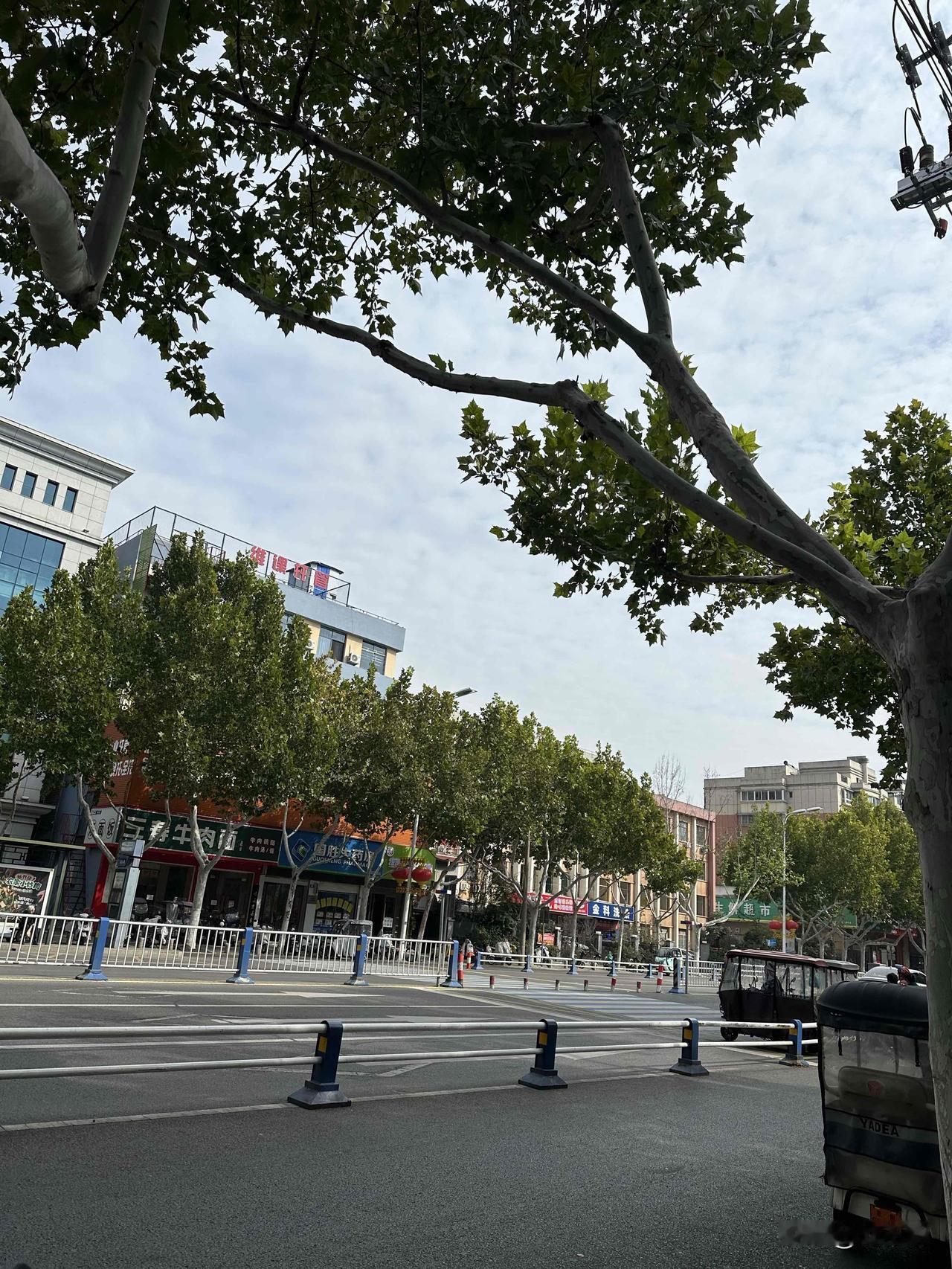 本周出了两个爆款，一个展现4000余万，收获14000多个粉丝；另一个展现量60