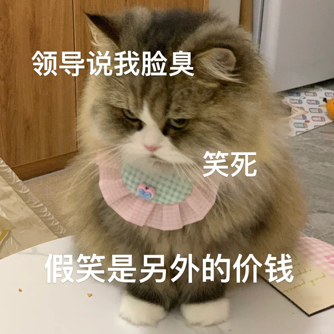 汪师傅打工表情包来啦！！😡