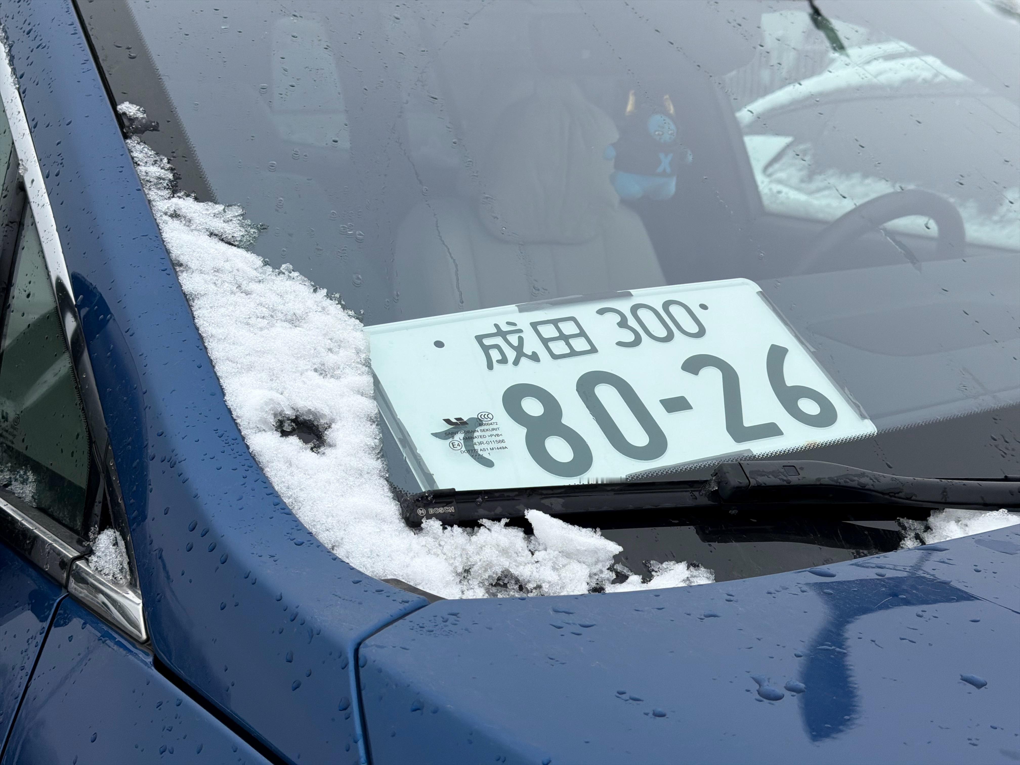 早，你的城市还下雪吗？北京今天又下了…北京下雪啦