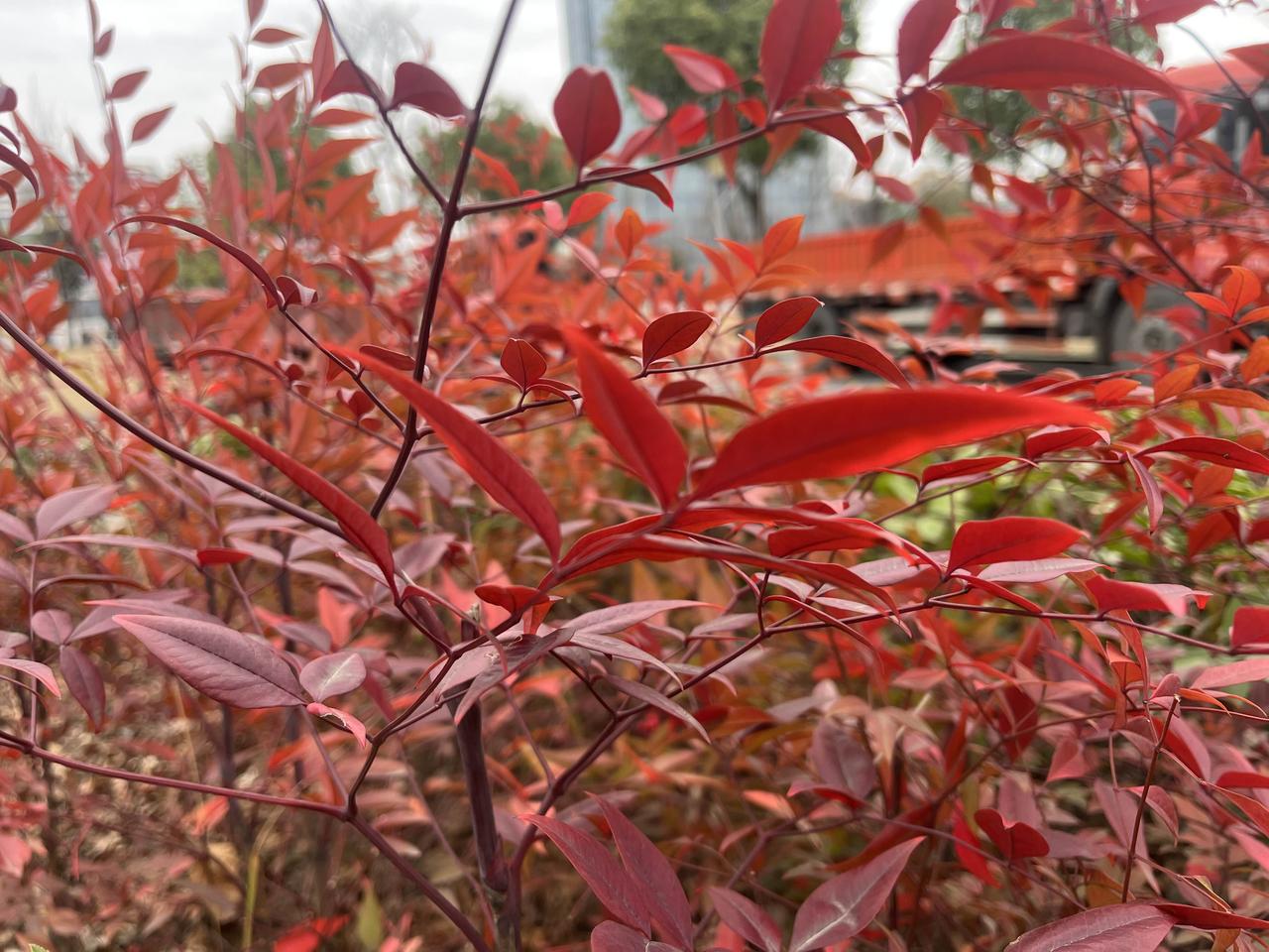 最高级的养生，不是往里补，是往外扔。其实就是两字—远离

你以为养生是吃燕窝人参