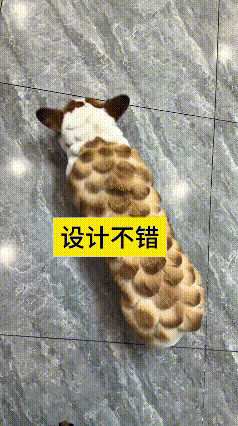 今天刷到一只柯基，主人给小家伙背上的毛发修成了鱼鳞的样式，从后背一直顺延到屁股，