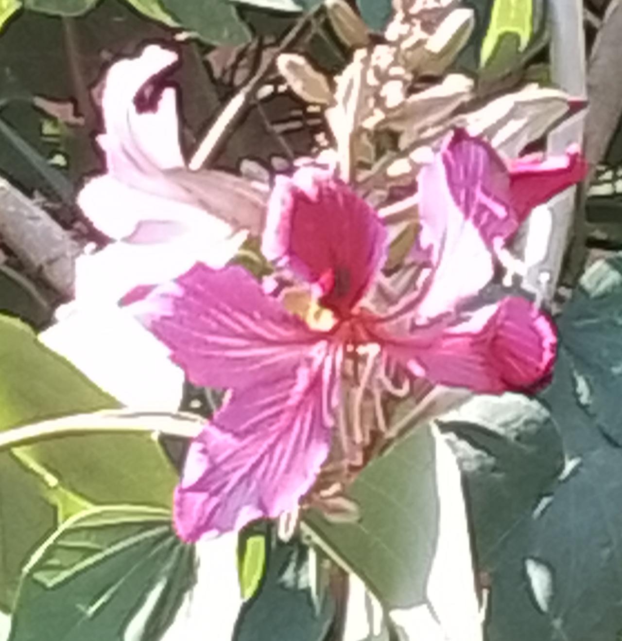 广州黄埔区有一间医药公司的招聘信息，看看这个公司的待遇怎么样？1提供员工宿舍，产