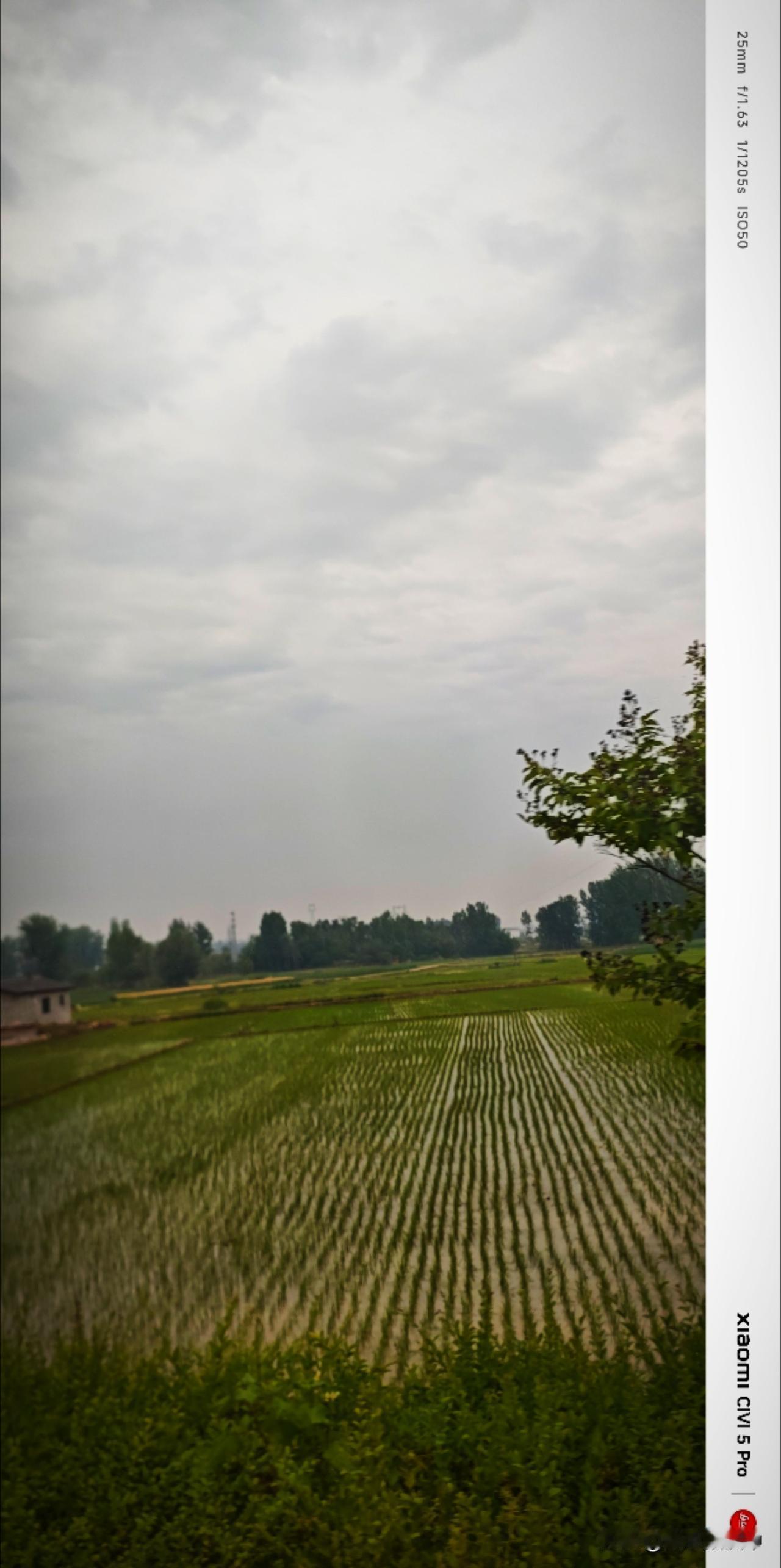 一到雨天，我的感官就会变得格外清晰。并不想把日子过得那么忙碌吵闹，只想逃离喧嚣，