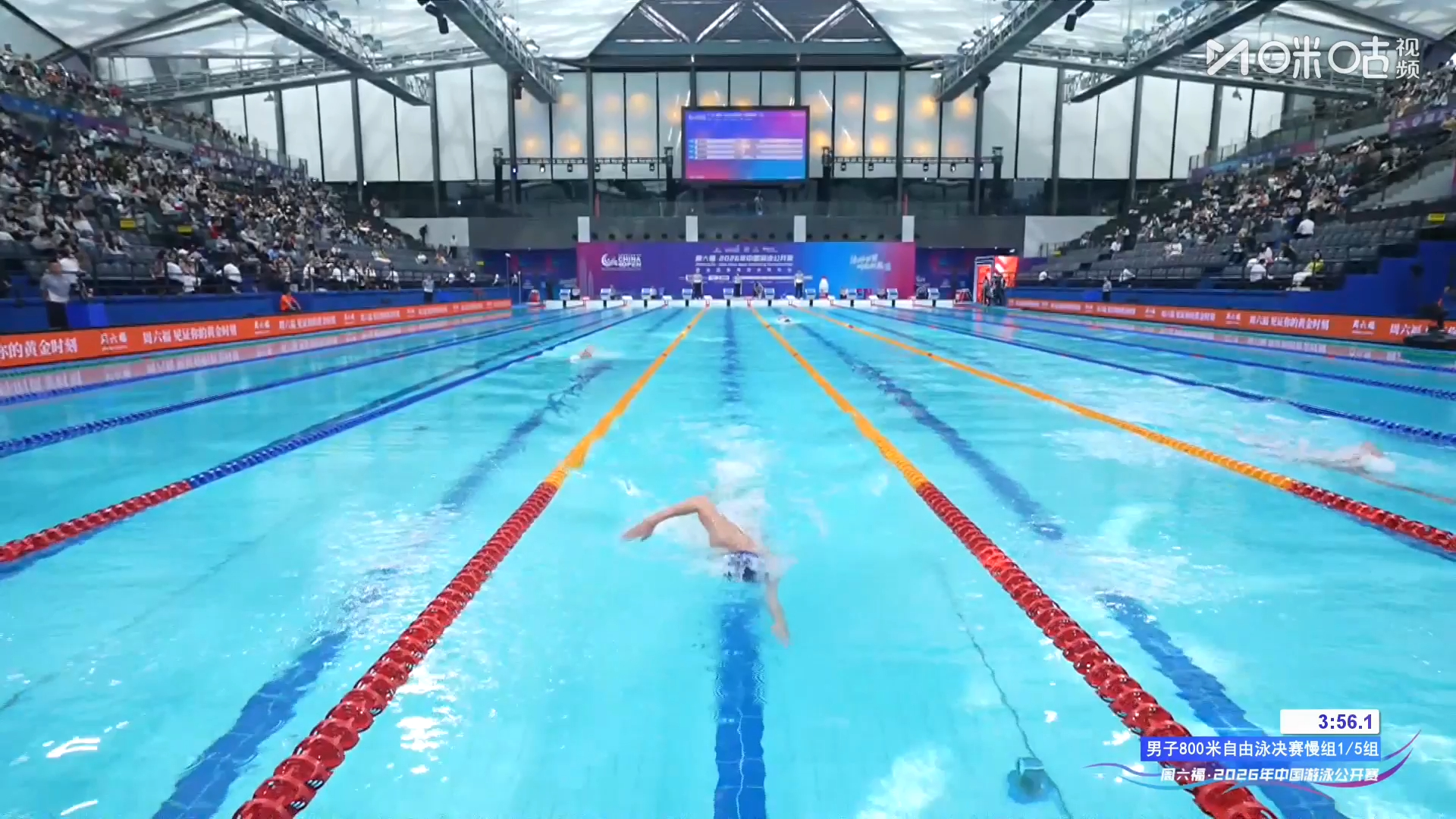 #潘展乐800自小组第一#2026年中国游泳公开赛男子800米自由泳慢组决赛，以