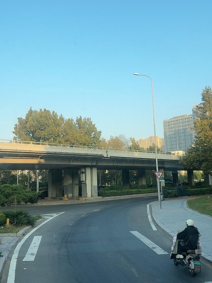 一夜入冬

昨天刮了一夜的风，今天起来感觉瞬间来到了冬天，想想也是，马上就要立冬