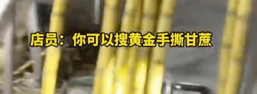 《87元一根甘蔗！不是买不起，是这价格太“扎心”了》

一根甘蔗87元，顾客结账