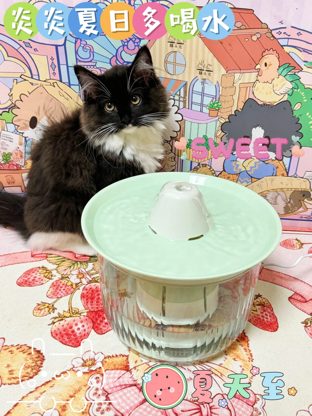 夏天就要清新自然才凉快！