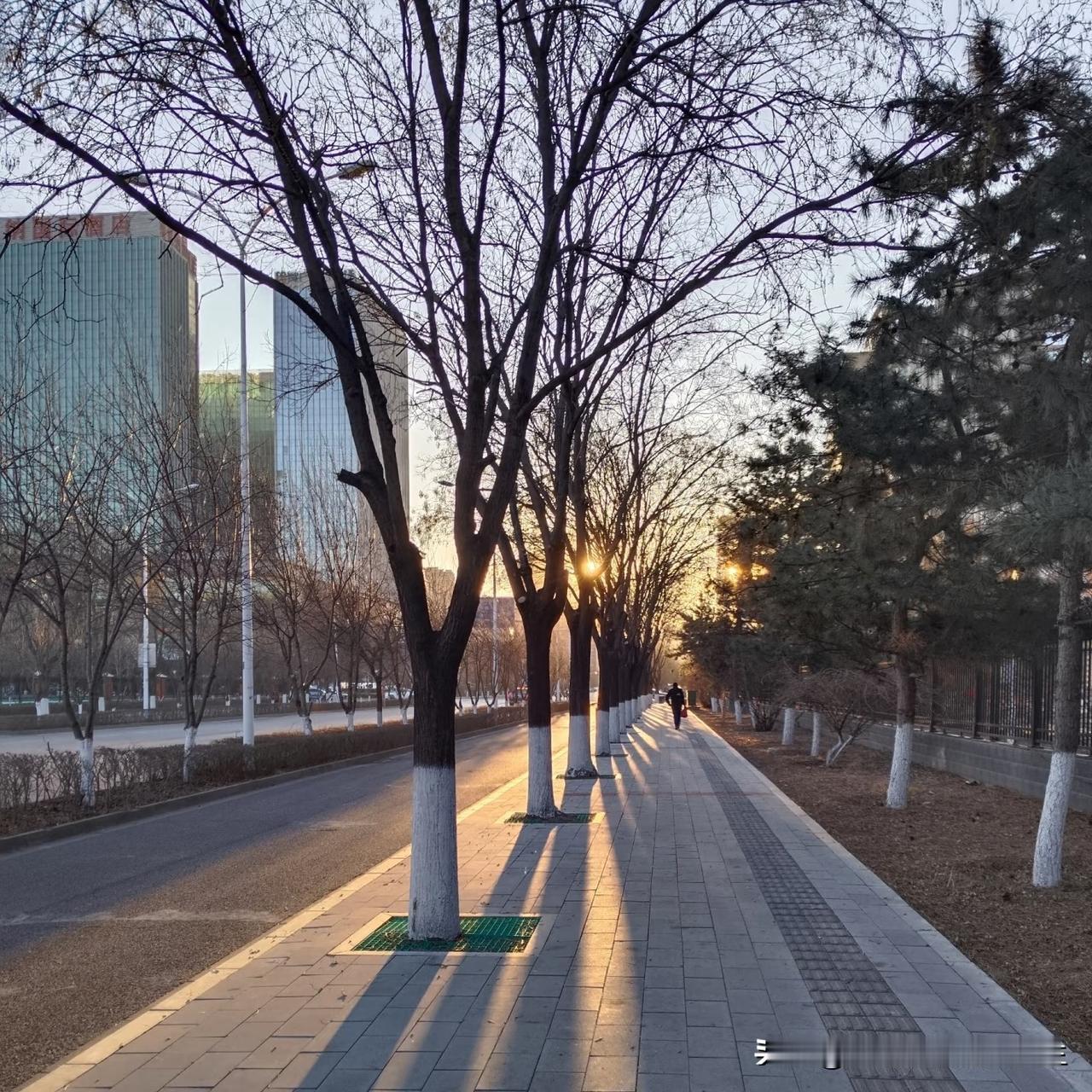 文学创作大会：冬日暖阳，如温柔诗篇，轻洒大地。它是岁月馈赠的礼物，让时光变得柔软