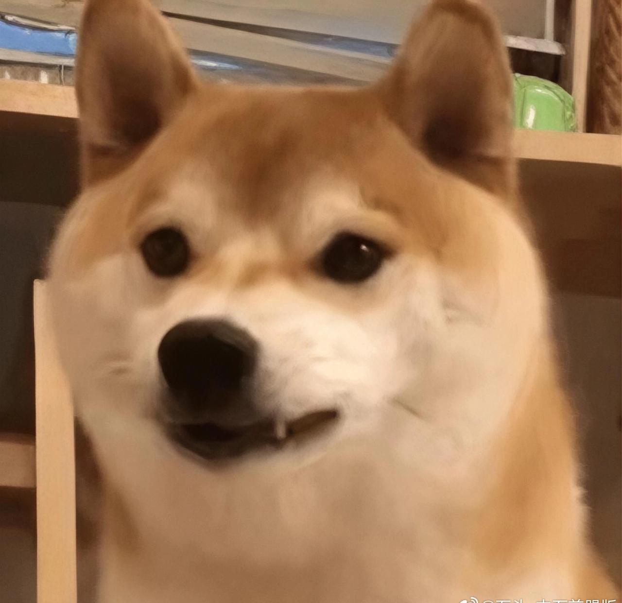 我真的要被气死了！

S先生今天在地铁上，
被一个印度大妈，
指着鼻子骂骂咧咧，