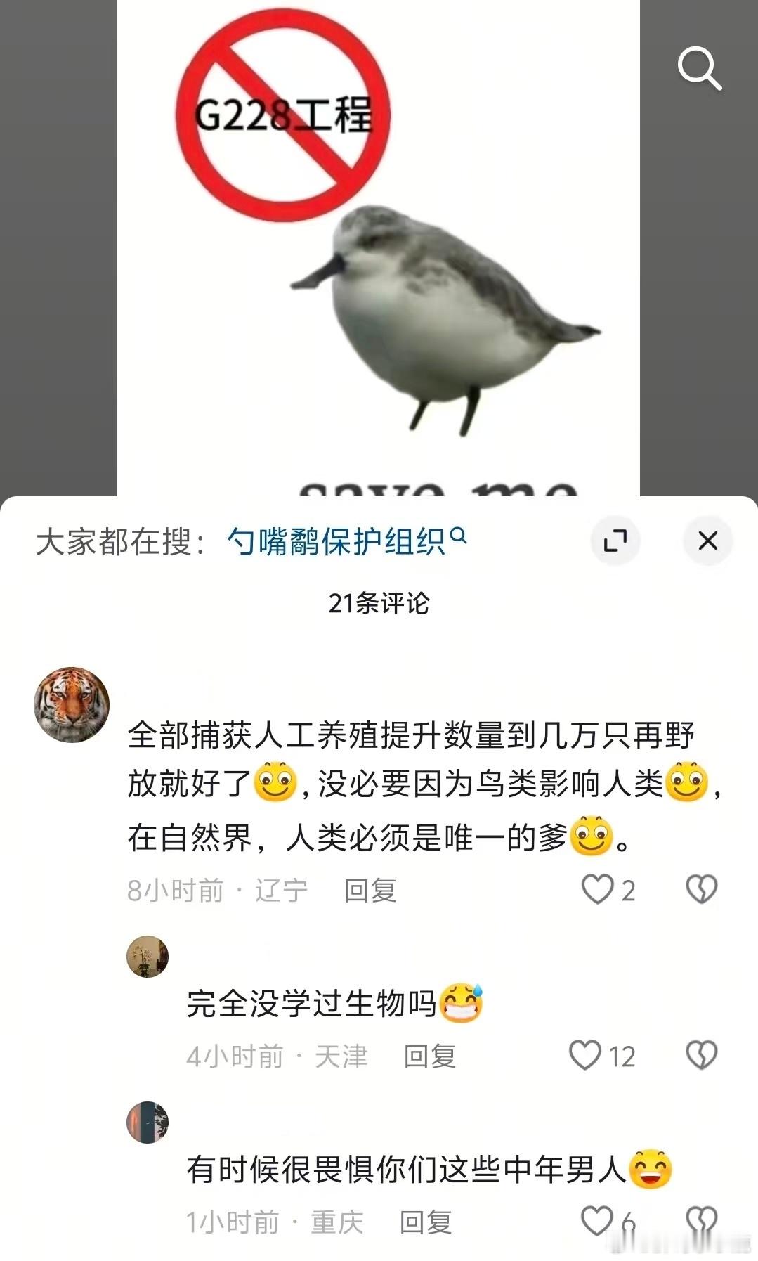 民间艺术观察