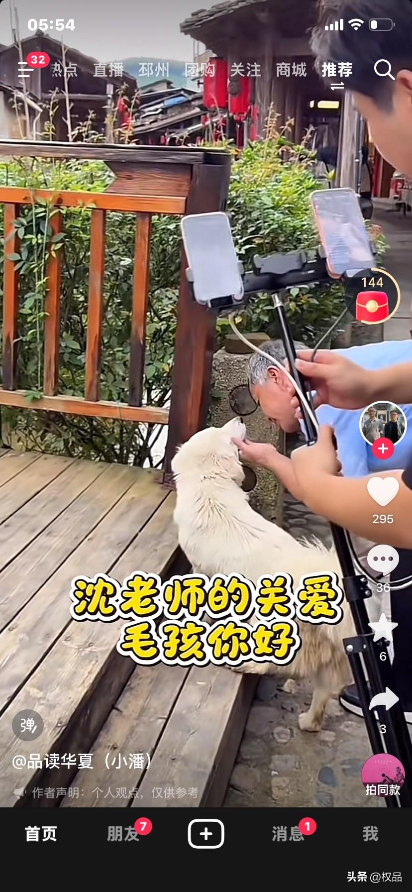 流浪大师在外游学，只要是遇到流浪大师毛孩子，流浪大师都会尽可能的收留它们，网友们