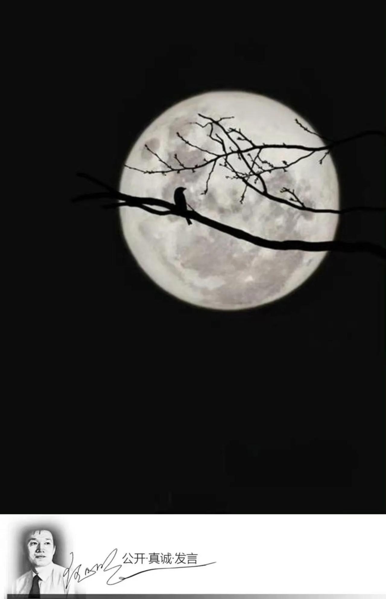 #明夜思# 今年八月十五当天，朋友送我的月饼很馋人，然由于身体原因不能享用，便想