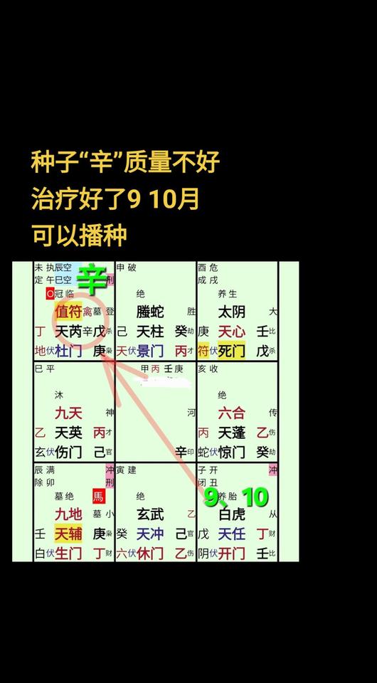 想要宝宝