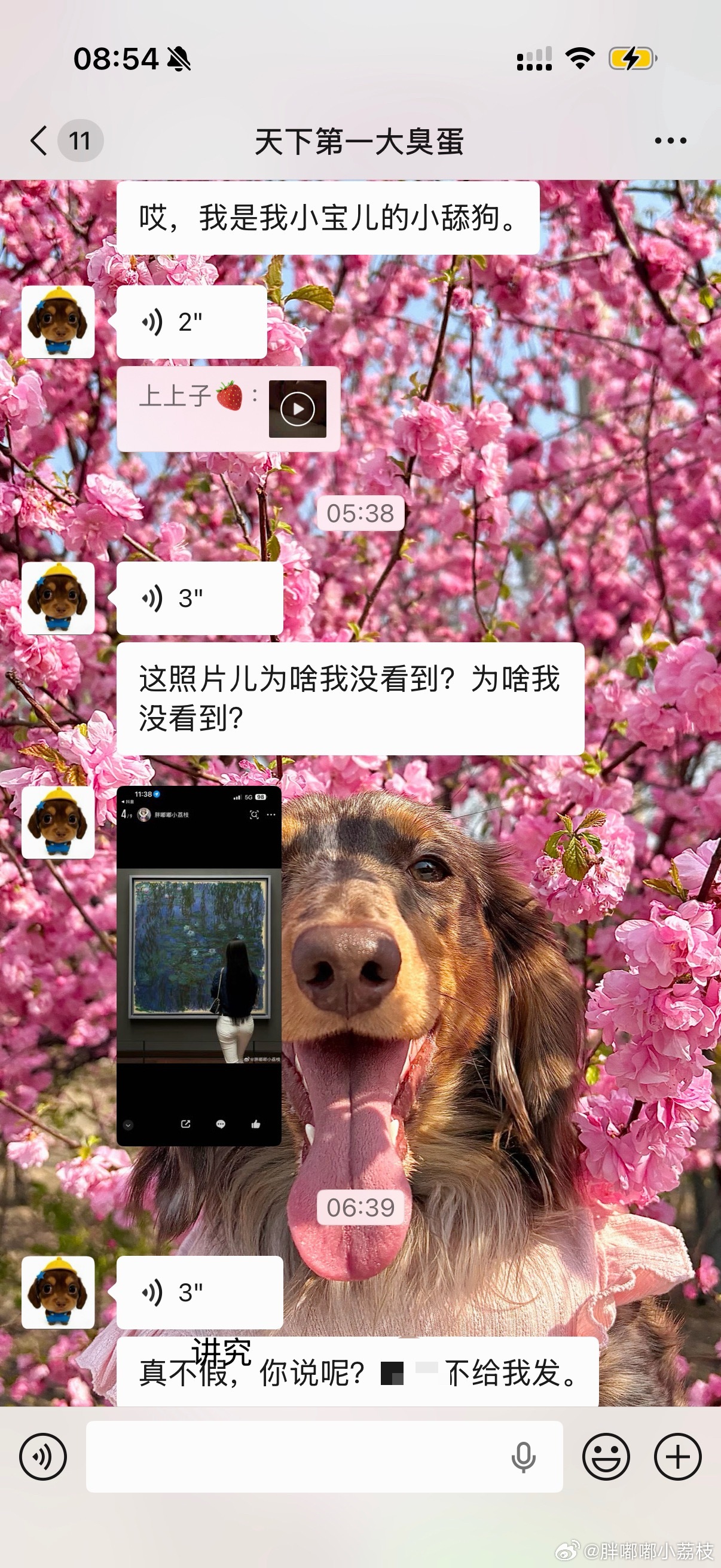 睡醒发现程哥因为我微博有一张照片他没看过 自己过一个小时还在控诉我笑死我了 