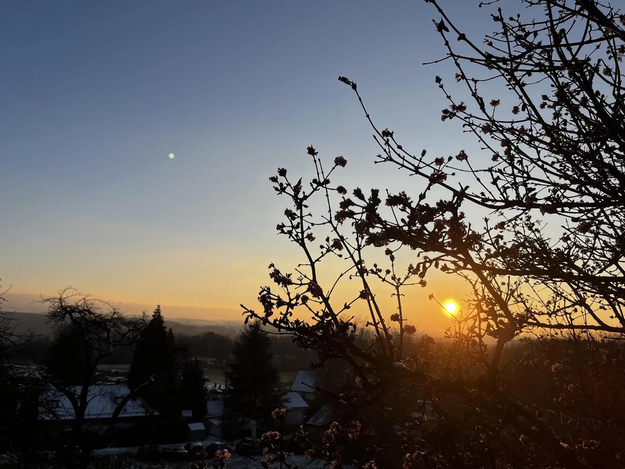 真正能比单身更快乐的只有谈恋爱最开始的两三年，其余时间都是还不如一个人过的开心的