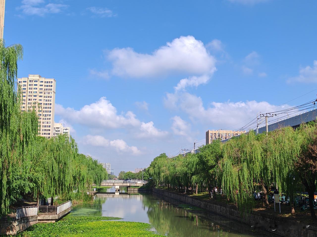 买菜必经的路桥
呈现的天空却五彩斑斓
有时阴沉雾霾
有时晴空万里
有时朦胧魔幻
