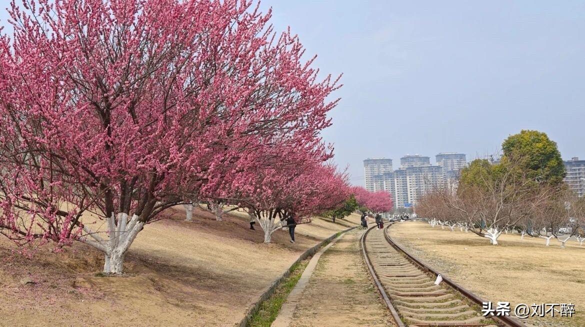 一些“新锐”“诗人”“作协会员”，陆续被平台取消了头衔！
“新锐”们对这顶“小花