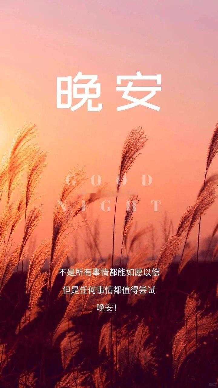 一个人最好的状态是什么？是不纠结过往的得失，是不虚度当下的时光，是不忧虑未来的变