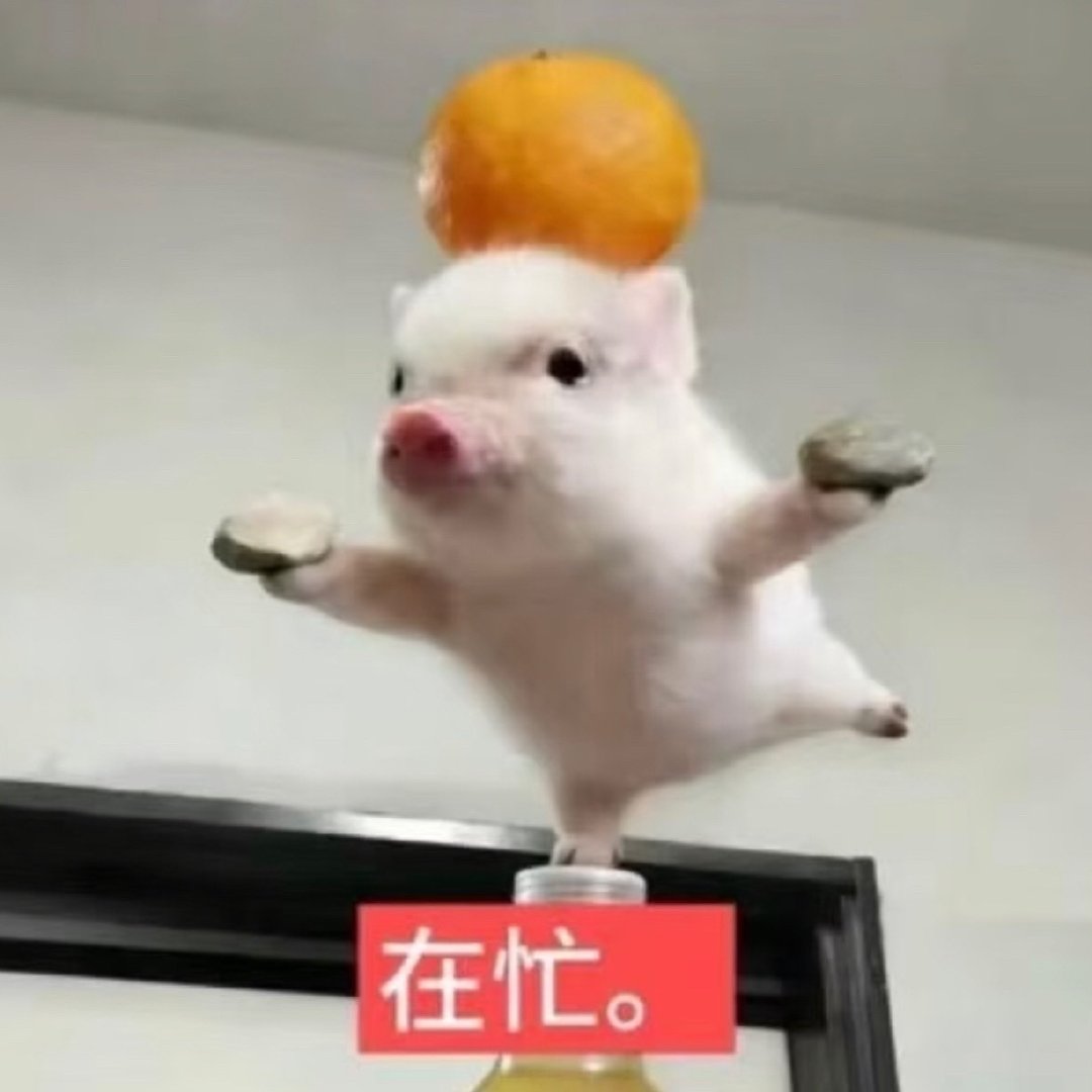 下午拍总裁，晚上拍恶女，半夜拍影后，忙碌🐷的一天 ​​​