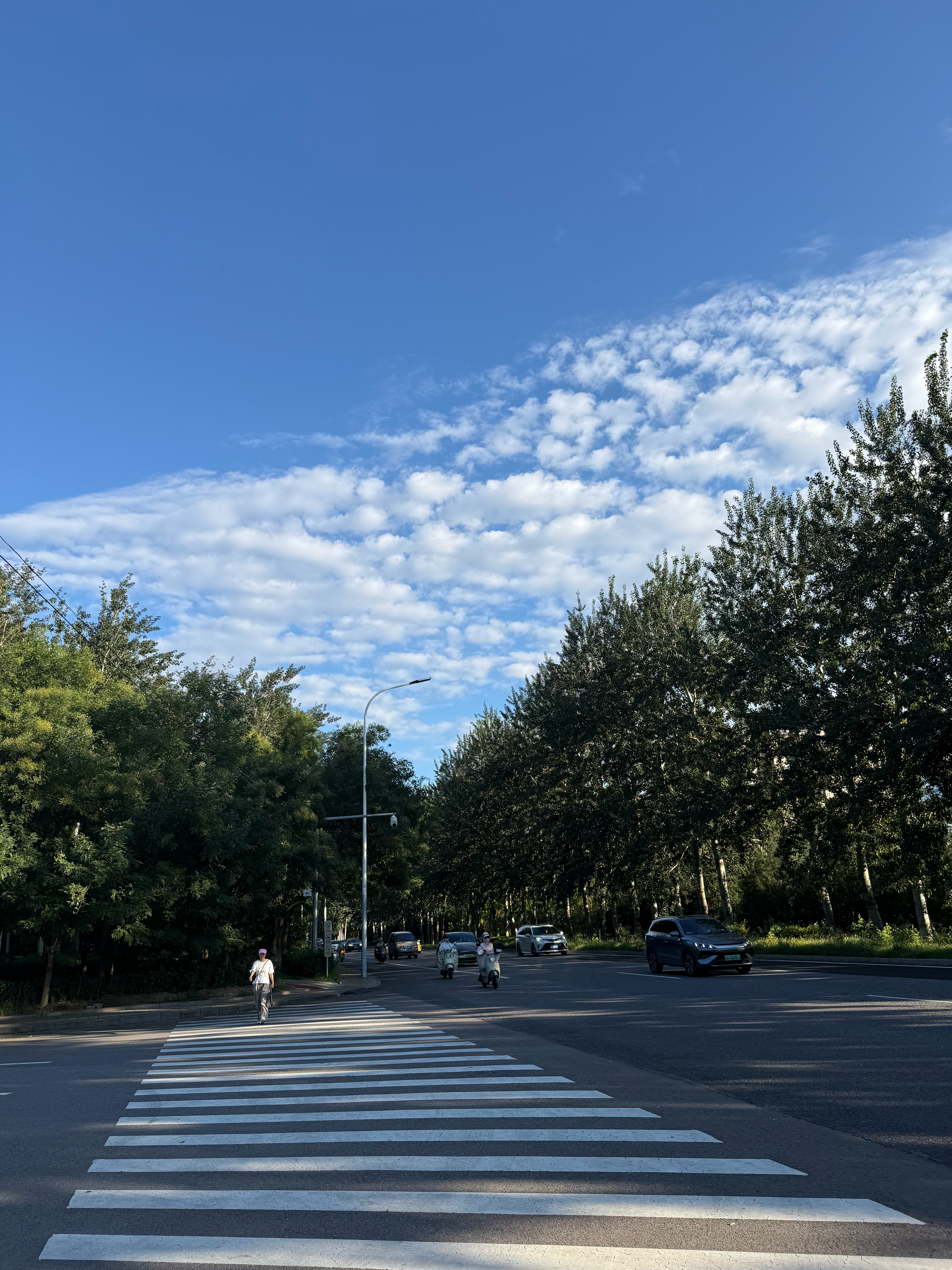 清风徐来 北京