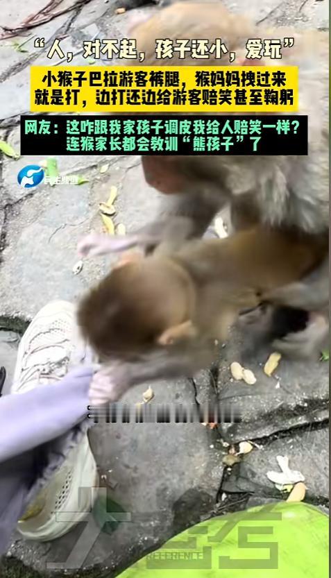 “谁的孩子都不好带啊！”近日，贵州，一游客游玩时，偶遇一只小猴子扒拉他的裤腿。一