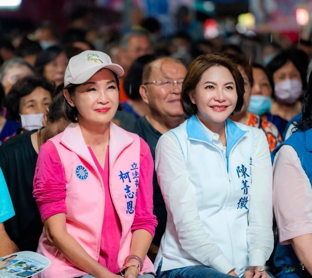 国民党立委陈菁徽今（31日）在脸书发文表示，看到新的街头民调，高雄市长参选人柯志