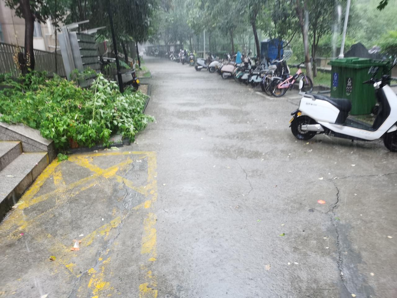 今天午后的这场暴雨，无征兆地当头泼下，让不少人一下子成为“诗（湿）人”。
什么叫