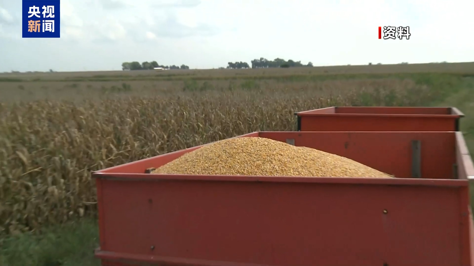 美经济学家:所谓对伊开战有利美国经济十分荒谬