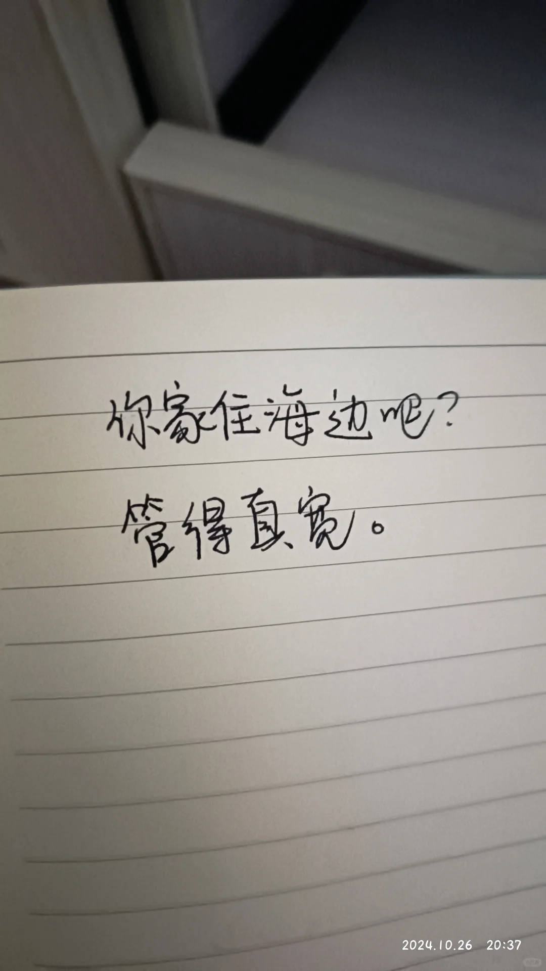 🤫嘘，别BB，我不听🙉