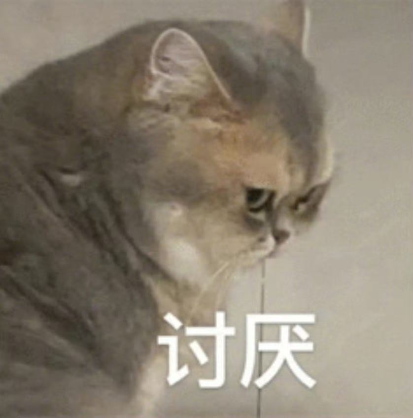 今天有俩娃在评论里“讨论”什么样的人配不配看我写的这些聊天。其实，配不配这说法可